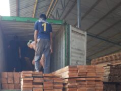 Jual Kayu Kamper Jakarta jual-kayu-kamper-jakarta-barat