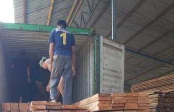 Jual Kayu Kamper Jakarta jual-kayu-kamper-jakarta-barat