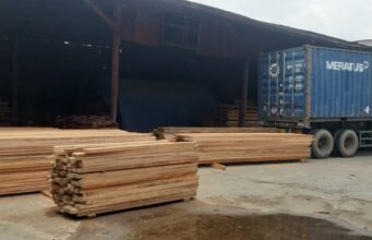 Jual Kayu Meranti jual kayu meranti