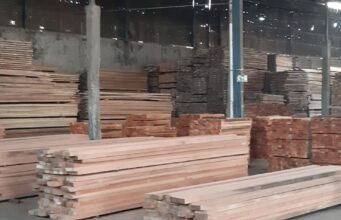 Jual Kayu Meranti di Jakarta Jual Kayu Meranti di Jakarta