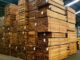 Kayu Bengkirai Tahan Rayap Kayu Bengkirai Tahan Rayap