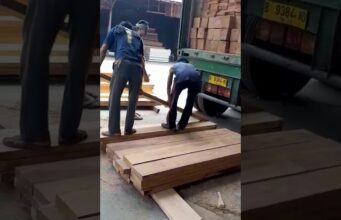 Supplier Kayu Keras dari Kalimantan