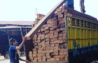 Supplier Kayu Meranti Supplier Kayu Meranti