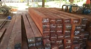 Supplier Kayu Merbau Supplier Kayu Merbau