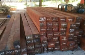 Supplier Kayu Merbau Supplier Kayu Merbau