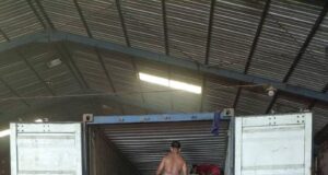 Supplier Kayu Ulin Kalimantan Supplier Kayu Ulin Kalimantan