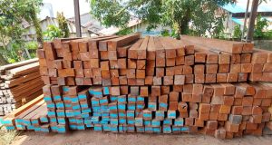 Jual Kayu Balau Merah Jual Kayu Balau Merah