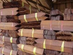 Kayu Sirap Ulin Kalimantan Kayu Sirap Ulin Kalimantan