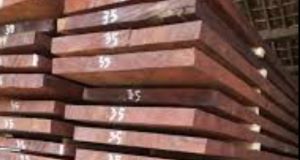 Jual Kayu Merbau Terdekat Jual Kayu Merbau Terdekat