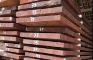 Jual Kayu Merbau Terdekat Jual Kayu Merbau Terdekat