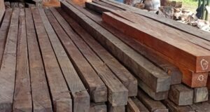 Kayu Ulin Kalimantan kayu ulin kalimantan